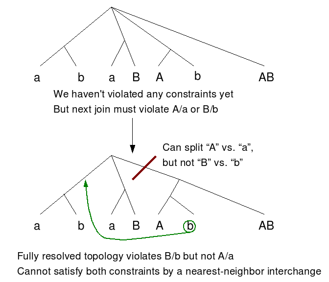 example tree ((a,b),(a,B),(A,b),AB)